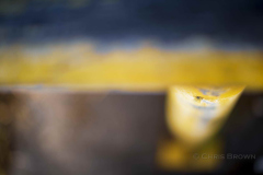 Guard Rail