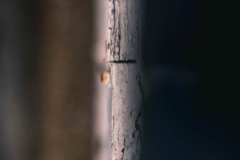 Boundary Fence Rusty Bolt