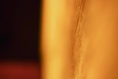 Amber Side window