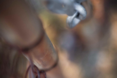 Gate Latch and Locked