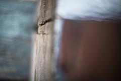 Pallets, timber, weathered, peeling paint, faded paint textures