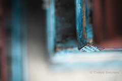 Pallets, timber, weathered, peeling paint, faded paint textures