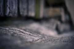 Concrete textures, gates, rendered walls and other colourful sights on surburban streets