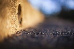 Cats eyes, telgraph and lighting poles, stormwater pipes common gutters and more urban icons hiding in plain sight.