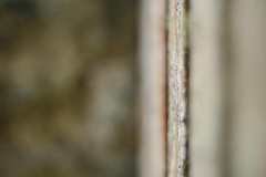 Silver-Shadow-F191