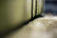 Concrete textures, gates, rendered walls and other colourful sights on surburban streets